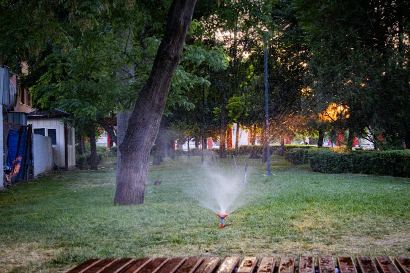 Zalivanje travnjaka pri zalasku sunca